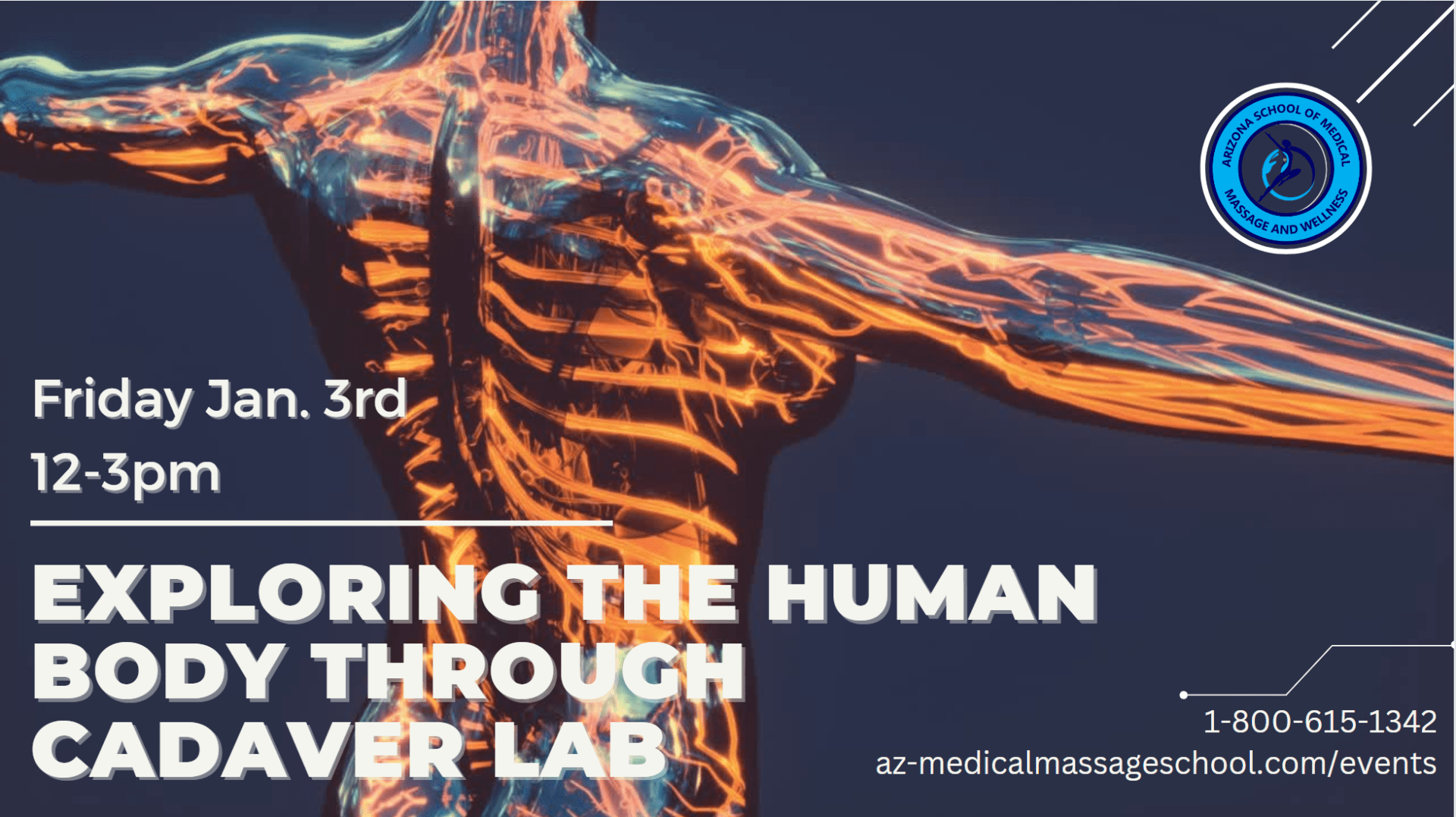 Exploring the Human Body through Cadaver Lab-3CE