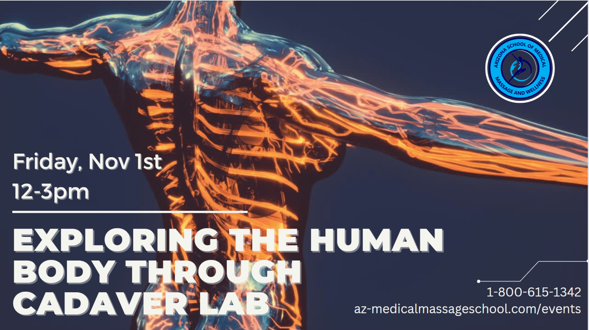 Exploring the Human Body through Cadaver Lab